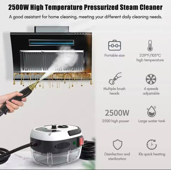 2500W Portable Steam Cleaner